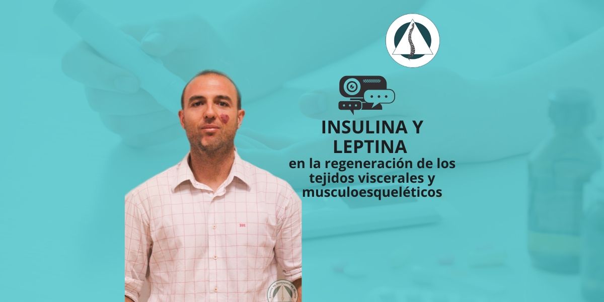 insulina y leptina