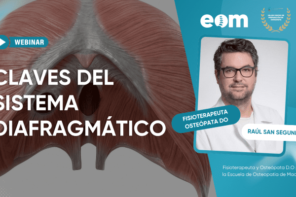 Webinar sobre sistema diafragmático para fisioterapeutas: claves clínicas y aplicación práctica