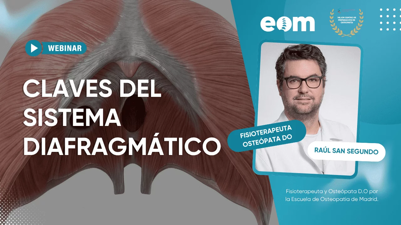 Webinar sobre sistema diafragmático para fisioterapeutas: claves clínicas y aplicación práctica