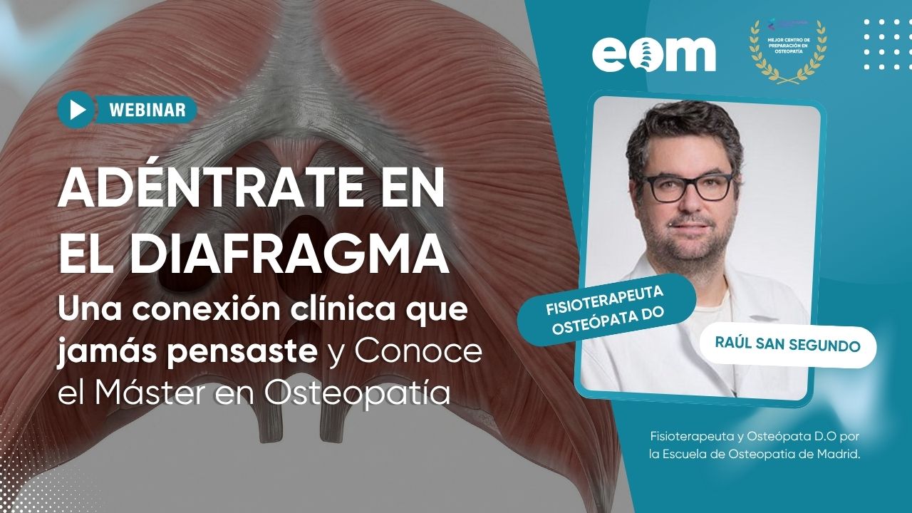 Conoce el Máster en Osteopatía Visceral | El diafragma: la conexión clínica que puede cambiar tu forma de tratar