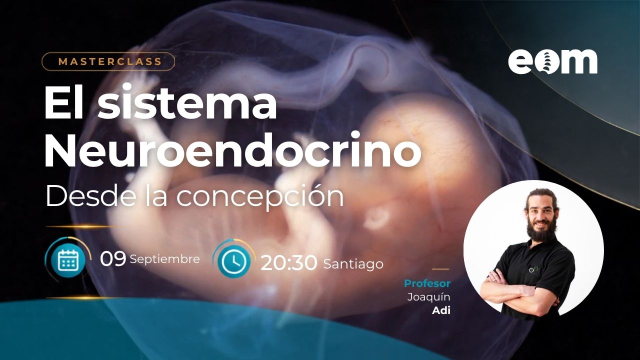 El sistema neuroendocrino desde la concepción