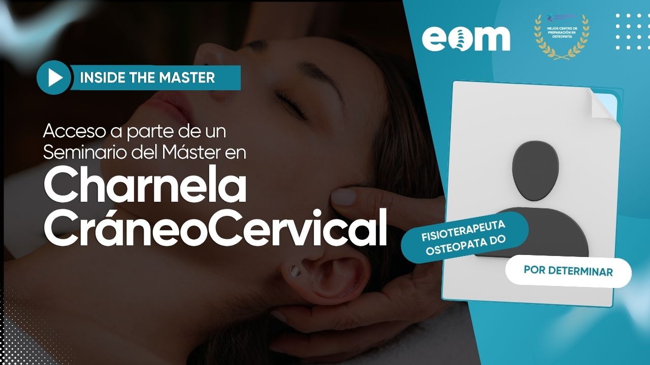 Cráneo-Cervical